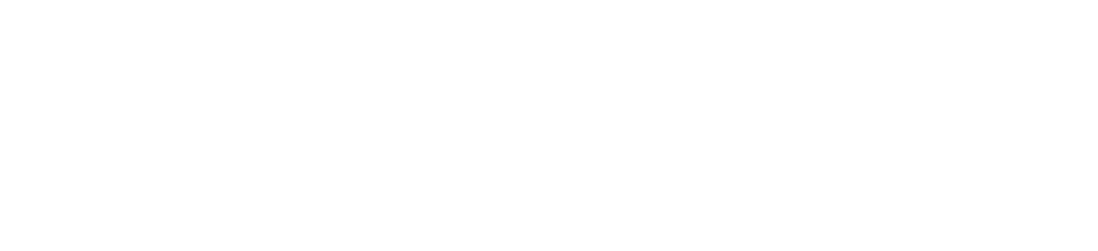 Patrick Marketing Inc.